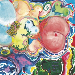 The Peaches - I don't want to be a plan B